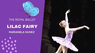 Lilac Fairy Variation  Marianela Nunez [upl. by Gnuhp]