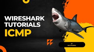 Wireshark Lab 9  ICMP [upl. by Lenneuq]