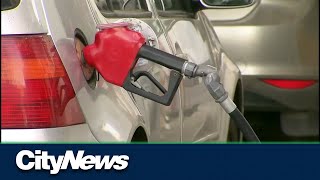 No more provincial gas tax in Alberta [upl. by Brady990]