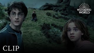 The Whomping Willow  Harry Potter and the Prisoner of Azkaban [upl. by Israeli]