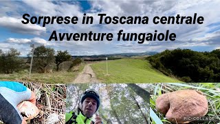 Sorprese in Toscana centrale  Avventure fungaiole fra paesaggi meravigliosi￼ [upl. by Lorak]