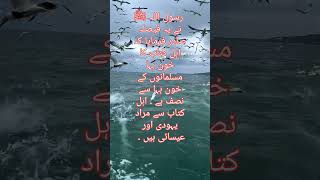 urdu hadis urdu hadith today hadis kisa hadishadithmuslim ytshirt [upl. by Chancelor]