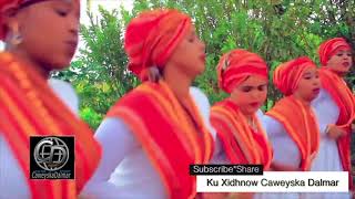 Dhaanto Cusub  Samsam  Cabdiwali Sayidka  2018  Footage Mixed [upl. by Inail]