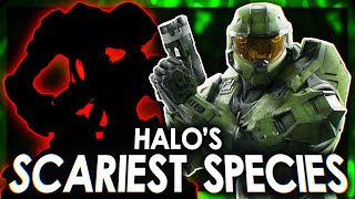 The Scariest Species in Halo lore Worse Than The Flood [upl. by Einnad]