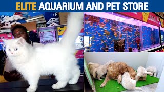 ELITE AQUARIUM AND PET STORE at Hosur  Dreamer Paul Vlog  Tamil [upl. by Gall663]