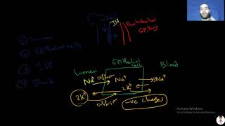 Nerd Renal Physiology4 PCT  DCT  Loop of Henle  CD [upl. by Leuqim]