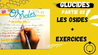 📣 Biochimie4LES GLUCIDES Partie 02 👌Les Osides Exercices dexamens glucides complexes fructose [upl. by Serle340]