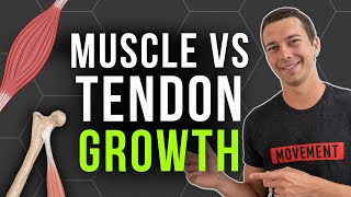 How to Build Tendon Strength vs Muscle Strength [upl. by Outhe]