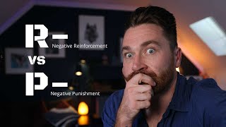 Operant Conditioning  Negative Reinforcement vs Negative Punishment [upl. by Omixam]