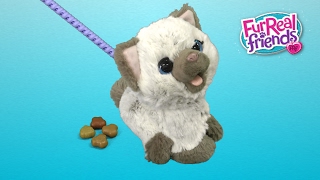 FurReal Friends Kami My Poopin Kitty from Hasbro [upl. by Seldun565]