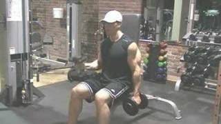 Biceps Exercises  Seated Dumbbell Hammer Alternating Curls [upl. by Munt58]