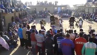 Hopi Buffalo Dance in Tewa First Mesa [upl. by Avrit434]