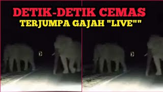 Pengalaman Jumpa Abang Besar Di Jalan Gerikjeli [upl. by Augustus]