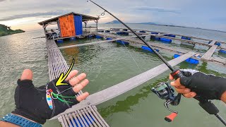 Ultralight Jigging Kelong Ali Pulau Aman  STRIKE IKAN RARE [upl. by Civ]