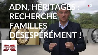 Complément denquête ADN héritages  recherche familles désespérément   25 avril 2019 France 2 [upl. by Gussy]