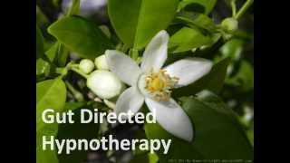 Gut Directed Hypnotherapy [upl. by Fletch]