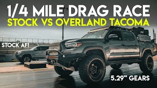 Stock Toyota Tacoma vs 529quot ReGeared Overland Tacoma 14 Mile Drag Race [upl. by Cattima]