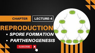 spore Formation amp parthenogenesis lecture4 reproduction class10 biology [upl. by Slinkman]