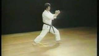 Jion  Shotokan Karate [upl. by Herries]