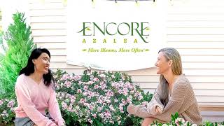 Press Play on Vibrant Garden Color with Encore Azaleas [upl. by Quartas]