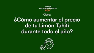 Clase ¿Cómo aumentar el precio de tu Limón Tahití durante todo el año [upl. by Nanci]