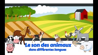 Onomatopées  Le son des animaux dans différentes langues [upl. by Yereffej]