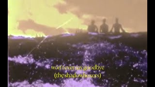 The Shadowboxers  WONT EVER SAY GOODBYE  Official Visuals [upl. by Nesnej]