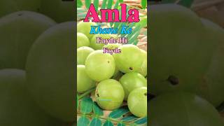 आंवला के चमत्कारी लाभ  Amla Khane Ke Fayde  Benefits Of Amla shorts viralvideo [upl. by Lady]