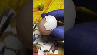 Satisfying raw egg peeling by different tool newshorts peelingeggs satisfyingshorts 4k [upl. by Lauryn]