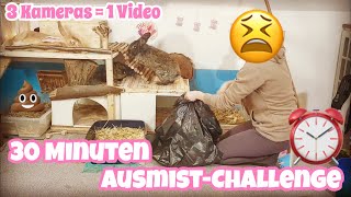 30 Minuten AusmistChallenge bei den Kaninchen [upl. by Anahsor]