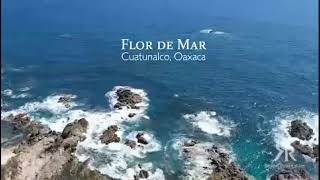 Welcome to Flor de Mar in Cuatunalco South Pacific Coast Oaxaca [upl. by Saito]