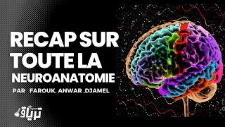 SEANCE 01 RECAP SUR TOUTE LA NEUROANATOMIE  PAR  FAROUK  ANWAR  DJAMEL [upl. by Luella]