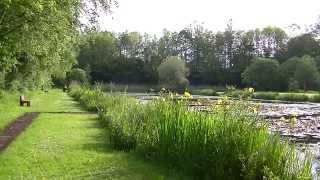 Half Round Pond Swansea Wales [upl. by Liagaba]