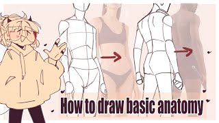 How to draw basic anatomy [upl. by Amora]