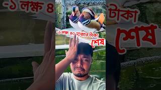 ম্যান্ডারিন হাঁস আর বৃষ্টি আমার iPhone 14 Pro Maxএর শেষ দিন [upl. by Bee843]