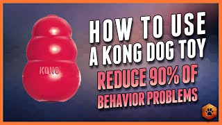 The Surprising Way Kong Toys Can CHANGE Your Dogs Life [upl. by Sheryle]