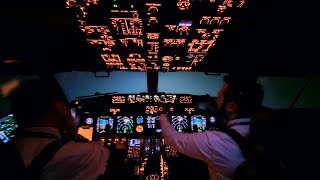 Flying In Extreme Weather Conditions  Heavy Snow  Boeing 737 Go Around Cockpit View [upl. by Tamas]