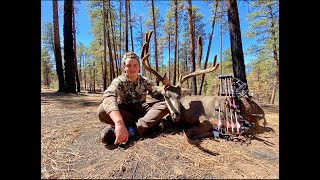 Kaibab Archery Mule Deer 2020 Part 3 Antler Trader [upl. by Keen]