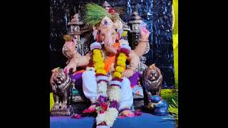 2024 GANPATI BAPPA celebration in our area Nandanvan Jagnade chowk Nagpur Maharashtra [upl. by Washington]