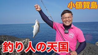 離島でどこでも、何か釣れる、釣り人の天国へ [upl. by Latimer]