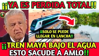 quotPerdida Total TREN MAYA Bajo el AGUAquot ¡¡Esto Sacude a LÓPEZ OBRADOR [upl. by Jeanine]