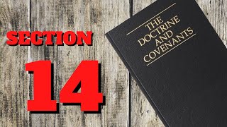 Doctrine and Covenants  section 14 [upl. by Nimzzaj]