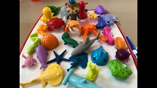 Kids Octonauts Toys and Creatures [upl. by Roee]