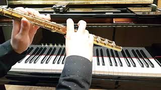 Enesco Cantabile et Presto for flute and piano ver2 [upl. by Alekehs]