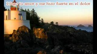 REIKLLEGO TU AMOR KARAOKEmpg [upl. by Leavy]