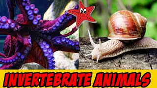 Invertebrate AnimalsLearn Names And Sounds Of Invertebrates Animals For children [upl. by Hamner696]