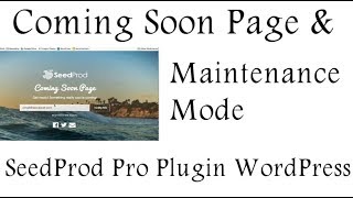 Coming Soon Page amp Maintenance Mode WordPress Plugin SeedProd Pro [upl. by Suzann]