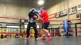 Boxing Pad Work at Syndicate MMA  Las Vegas [upl. by Radnaxela]