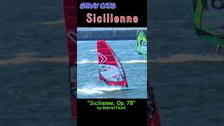 Sicilienne straycats TamaWorld [upl. by Melosa]