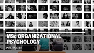 MSc Organizational Psychology [upl. by Euqitsym]